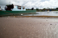 on the banks- Guyana 50th